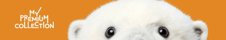 450_f020eb6395500861525e14580cb3a104.png